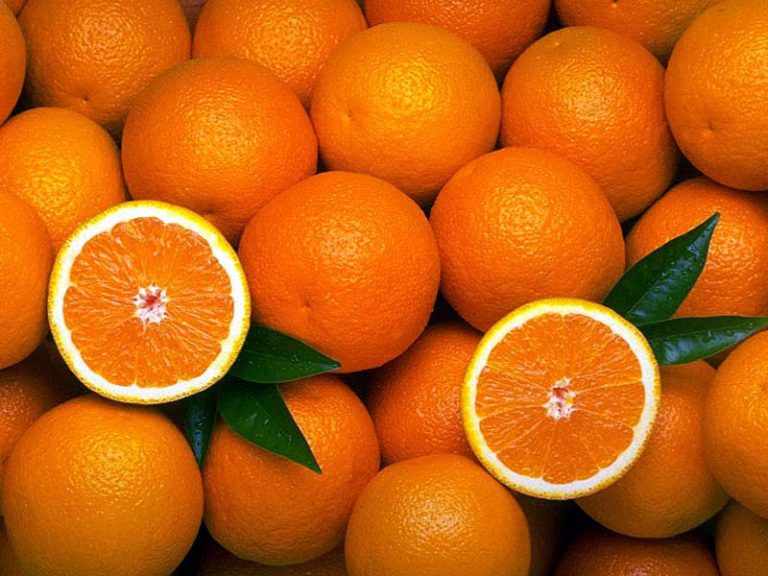 laranja-beneficios-medworld